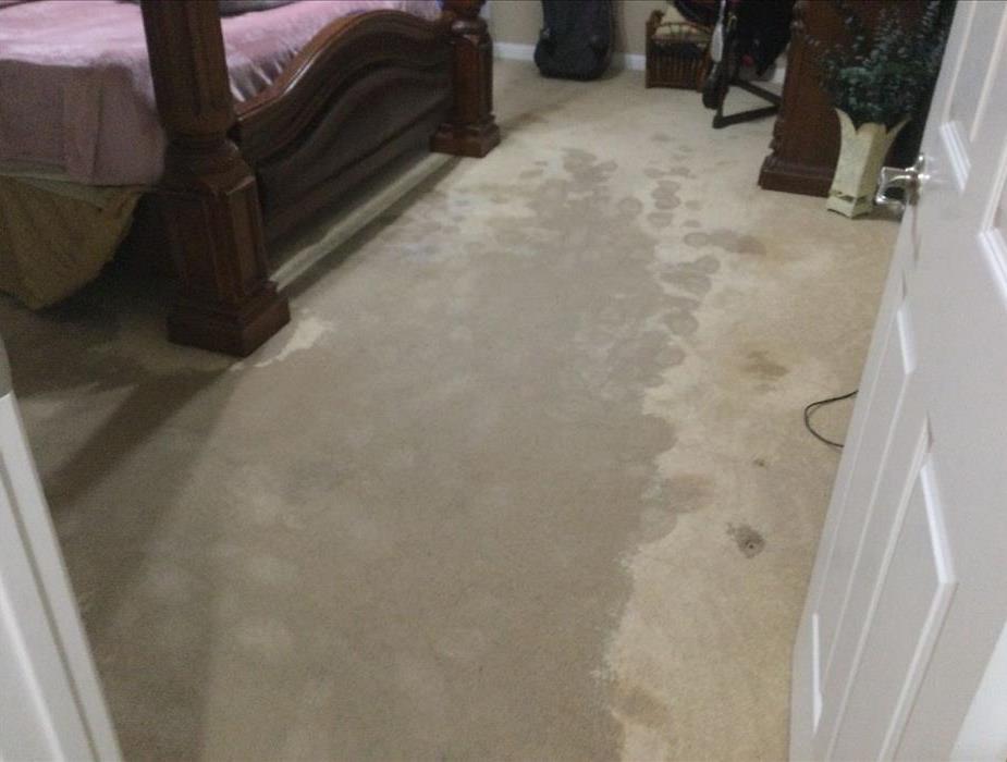 Soaked carpet due to flooding